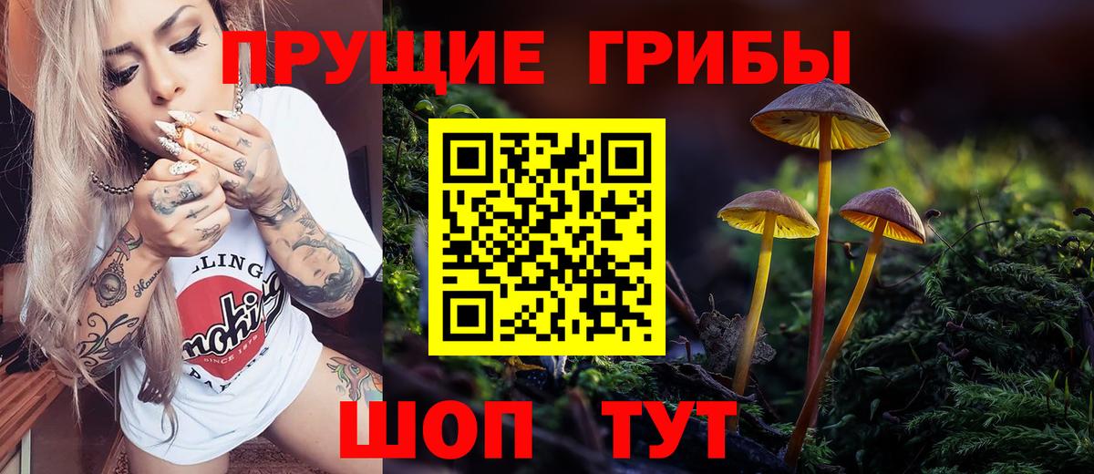 Псилоцибиновые грибы GOLDEN TEACHER  Галлюциногенные грибы GOLDEN TEACHER  Вход с VPN  Саратов 